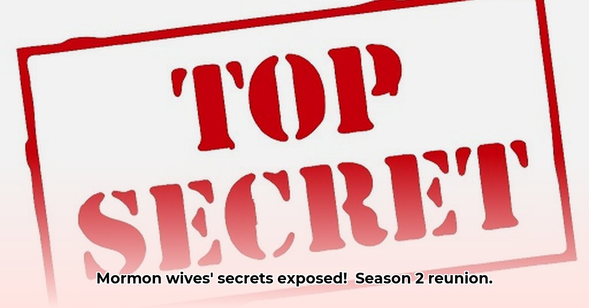 the-secret-lives-of-mormon-wives-season-2-reunion